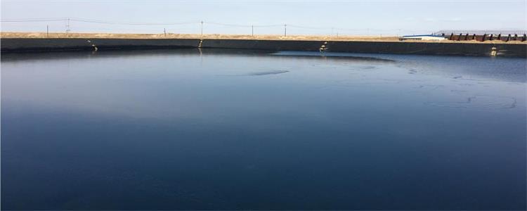 1678241144175117.jpg 1678241144175117.jpg